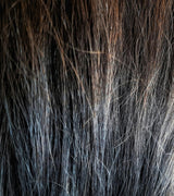 Can a Serum Really Turn Back the Clock on Your Hair?